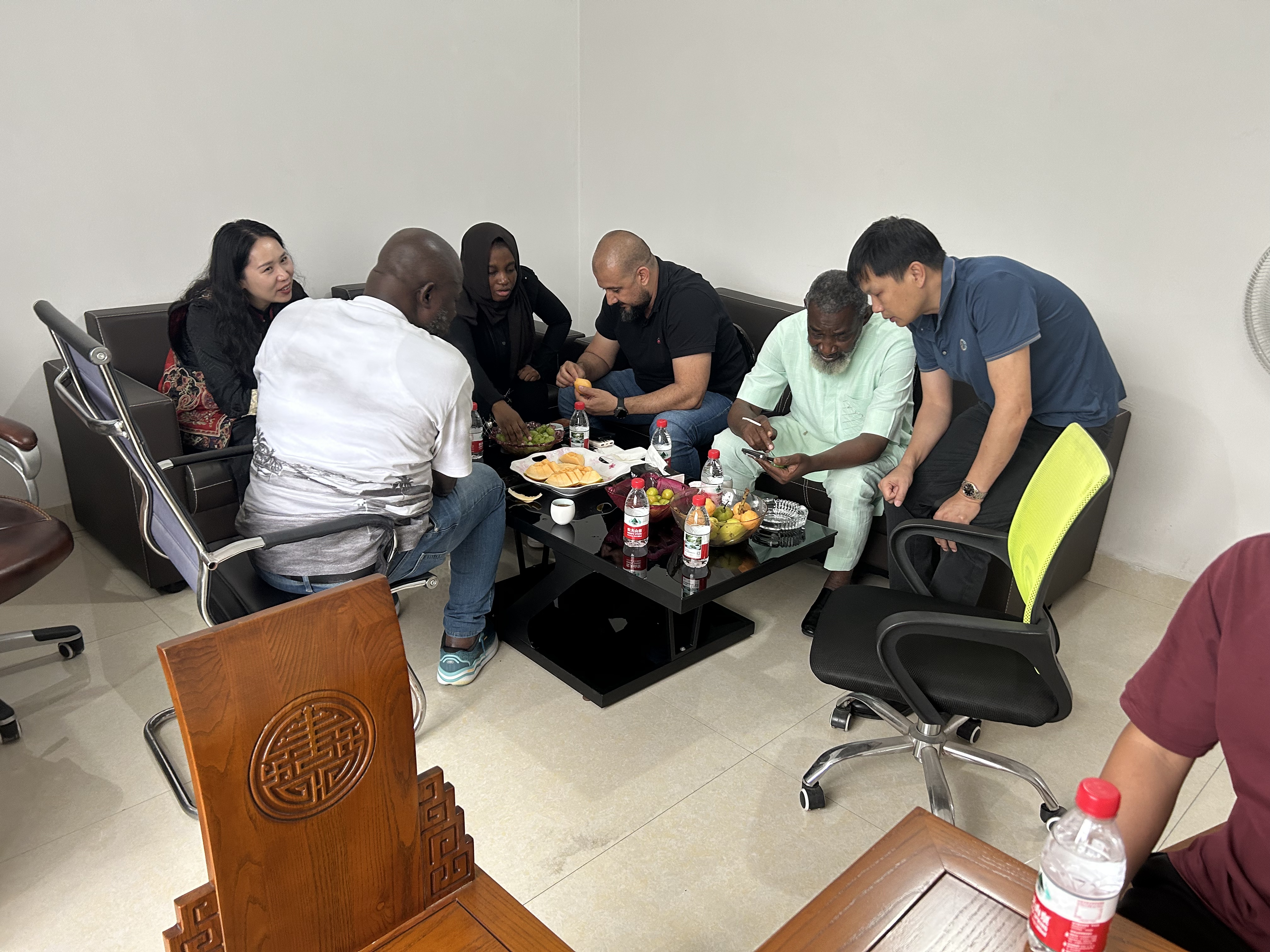 肯尼亚项目代表团参观贵司工厂(图1)